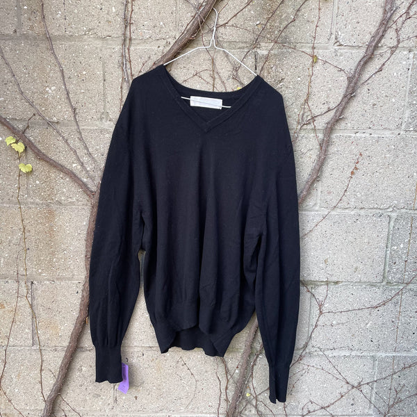 Cashmere at Lockleven cashmere v-neck sweater in XL