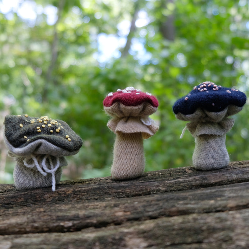 mushroom craft kit