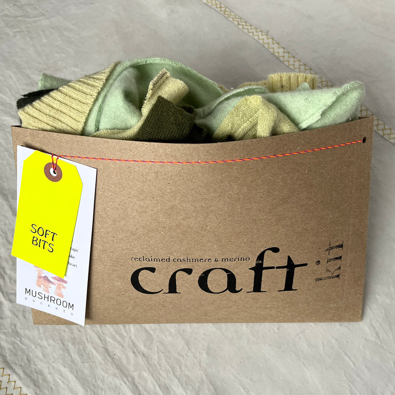 mushroom craft kit